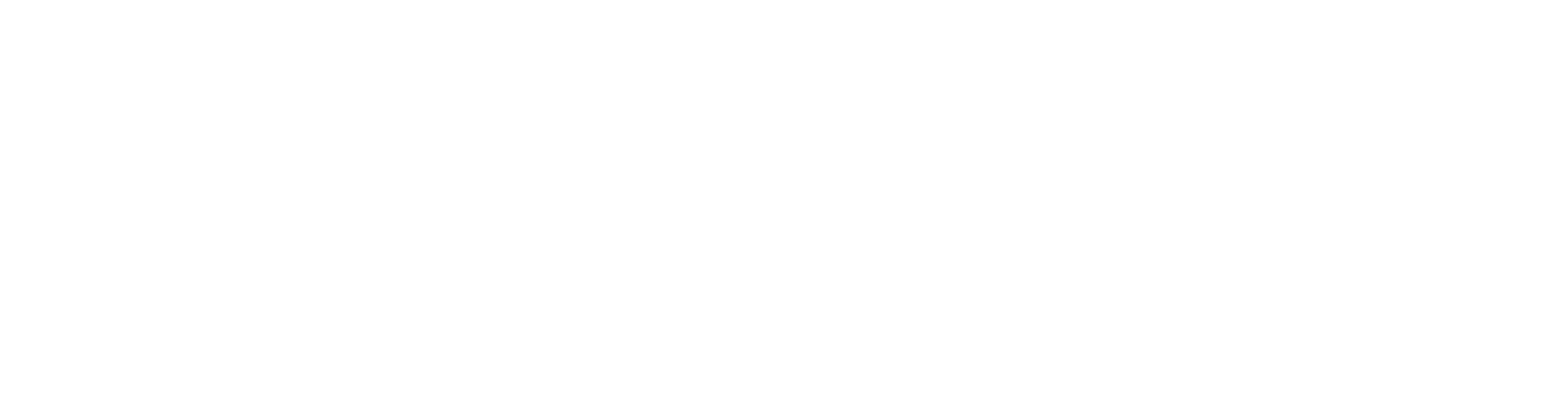 Neicco Expertise & Solution